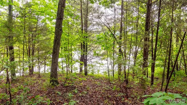 $59,000 | 126 Rainbow Lake Drive, Villa Ridge, MO 63089