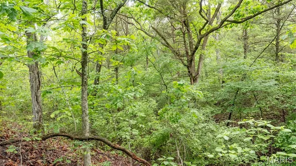$59,000 | 126 Rainbow Lake Drive, Villa Ridge, MO 63089