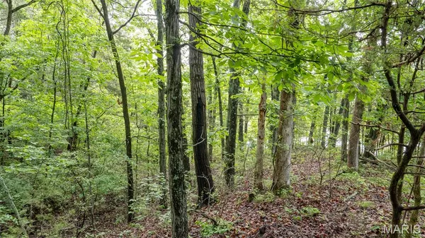 $59,000 | 126 Rainbow Lake Drive, Villa Ridge, MO 63089