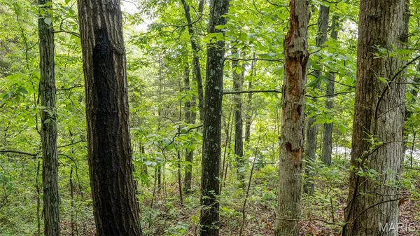 $59,000 | 126 Rainbow Lake Drive, Villa Ridge, MO 63089