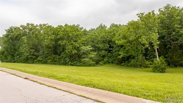 $59,000 | 126 Rainbow Lake Drive, Villa Ridge, MO 63089