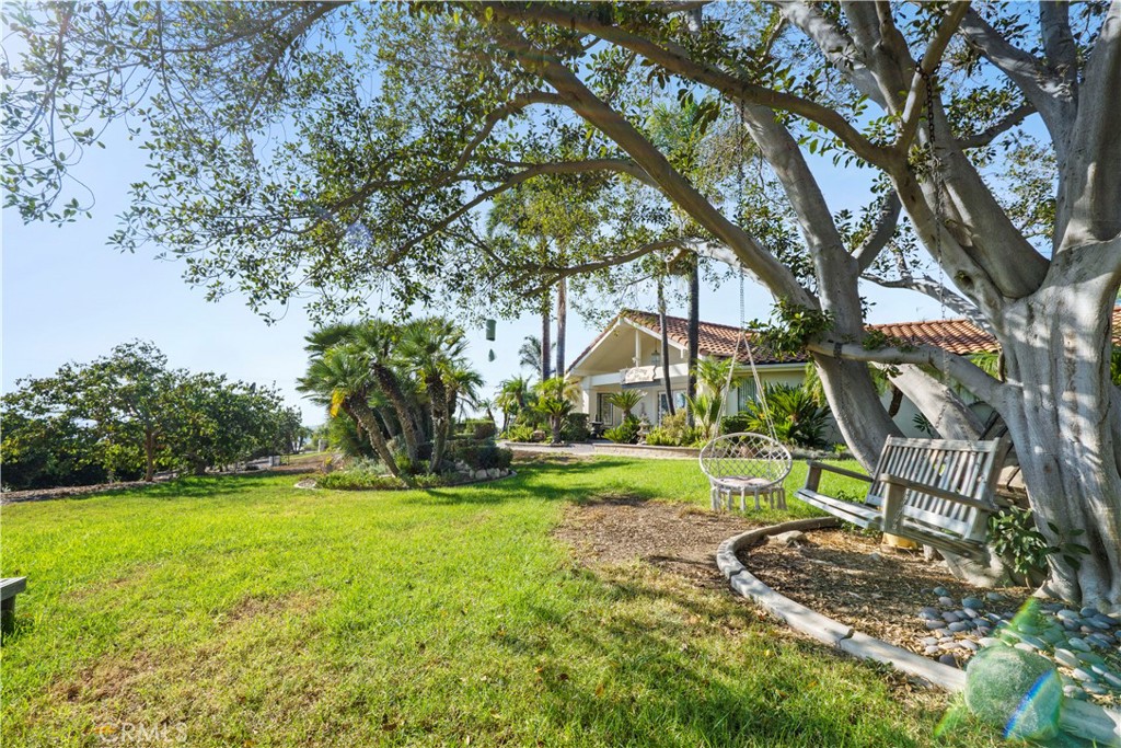 17850 Vista Del Lago Drive Riverside, CA 92503 - Photo 2 of 47 a view of a backyard with table and chairs and a large tree