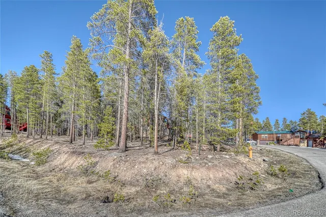 a view of road and trees