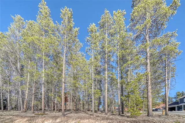a view of a yard with trees