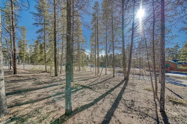 a view of a yard with a tree