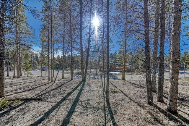a view of a backyard with of trees