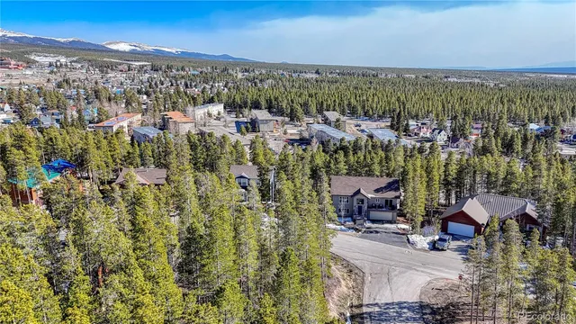 a view of a city with lush green forest