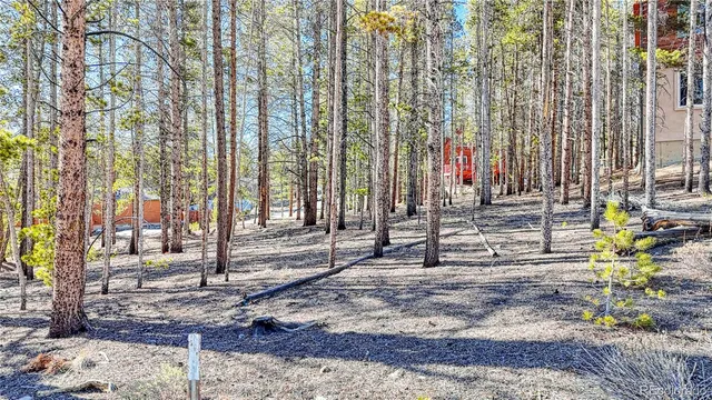 a view of outdoor space with trees