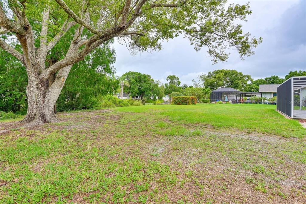 4831 Greenleaf Road Sarasota, FL 34233 - Photo 22 of 22 a view of a garden with a tree