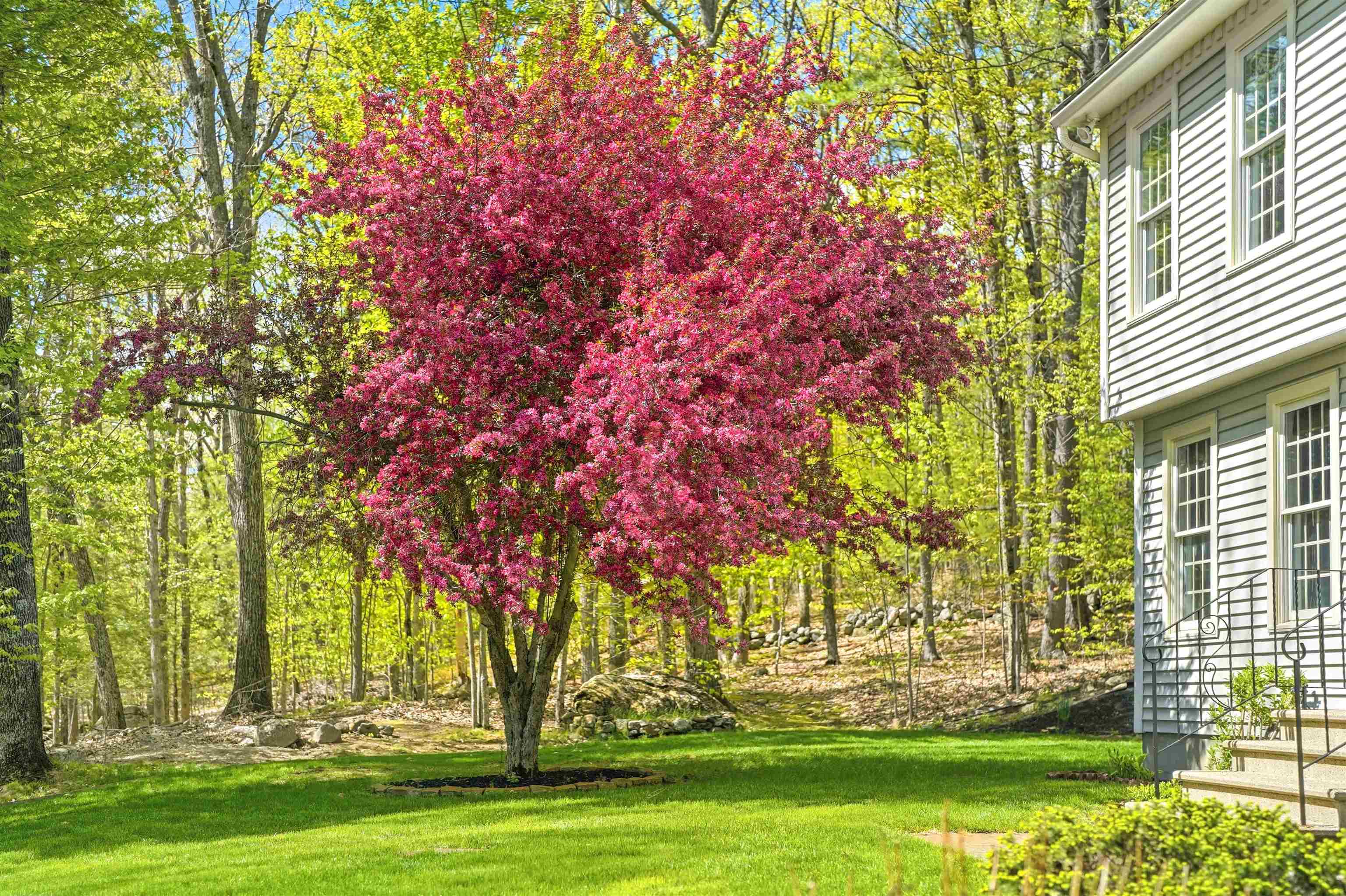33 Brook Road Amherst, NH 03031 - Photo 7 of 51 Gallery Image 7