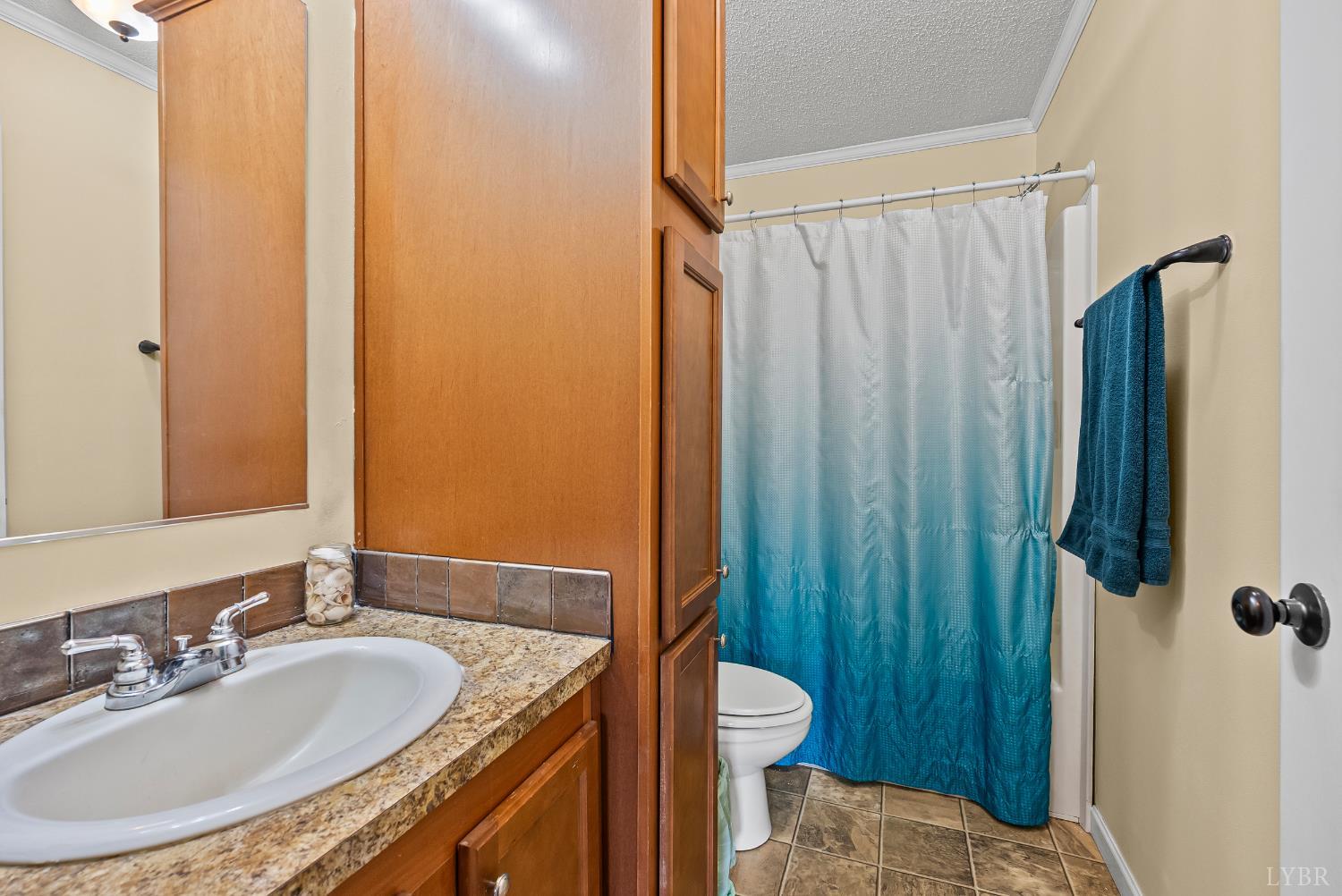 6124 Old Courthouse Road Appomattox, VA 24522 - Photo 32 of 52 a bathroom with a sink toilet and shower