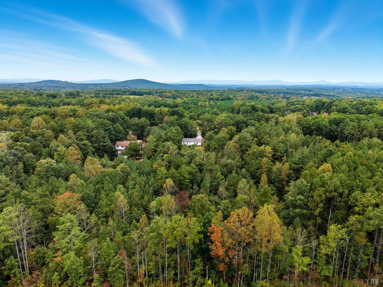 6124 Old Courthouse Road Appomattox, VA 24522 - Photo 47 of 52