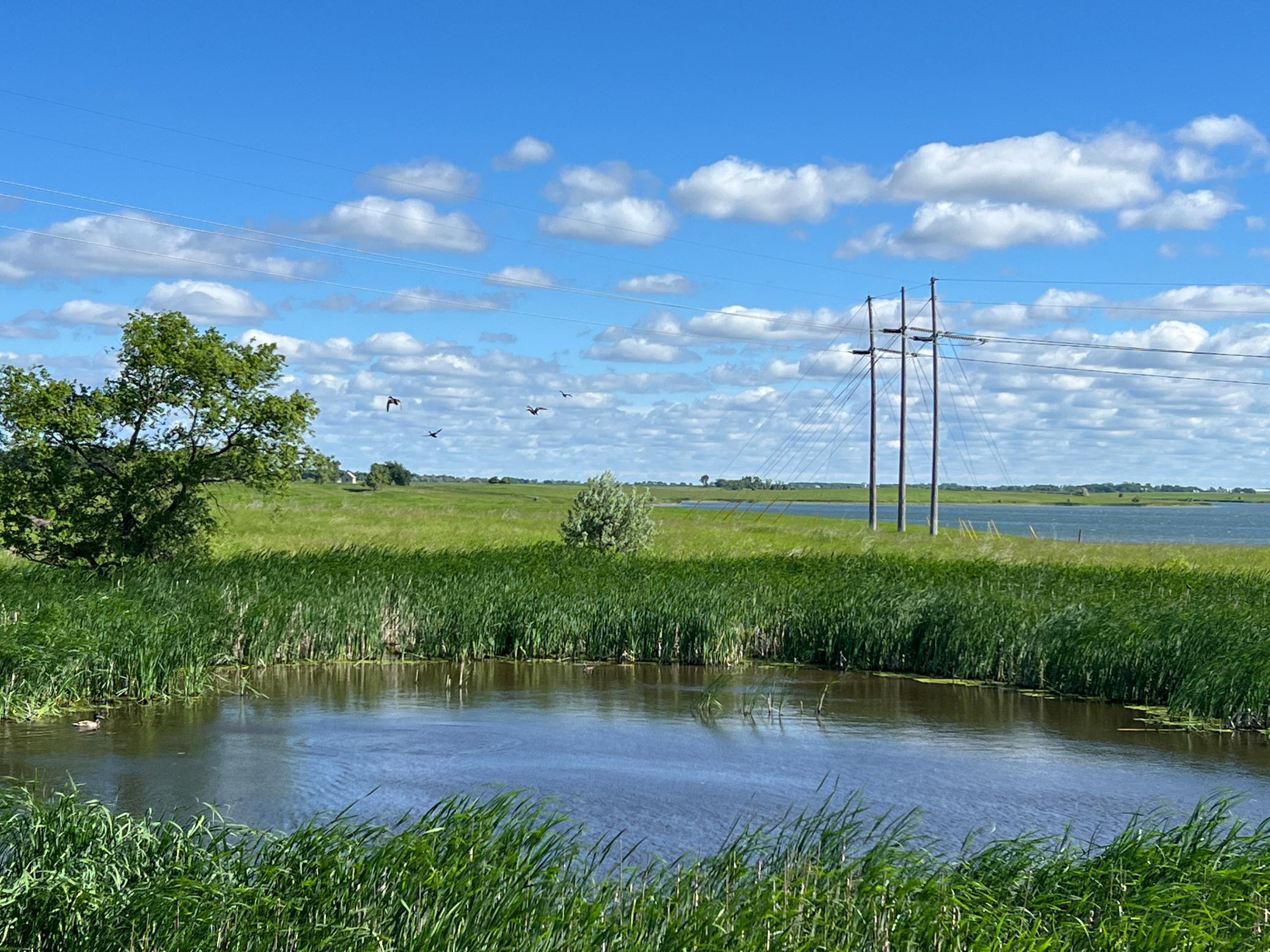 Tbd Southeast Tbd Se 90th Street Rutland, ND 58067 - Photo 75 of 105