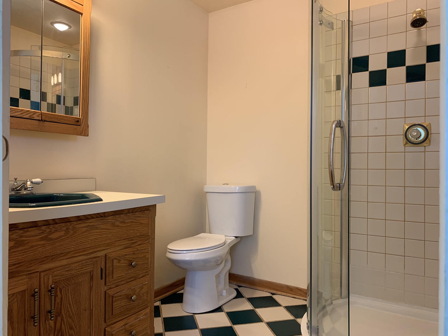 813 Sunset Road Wheaton, IL 60189 - Photo 15 of 19