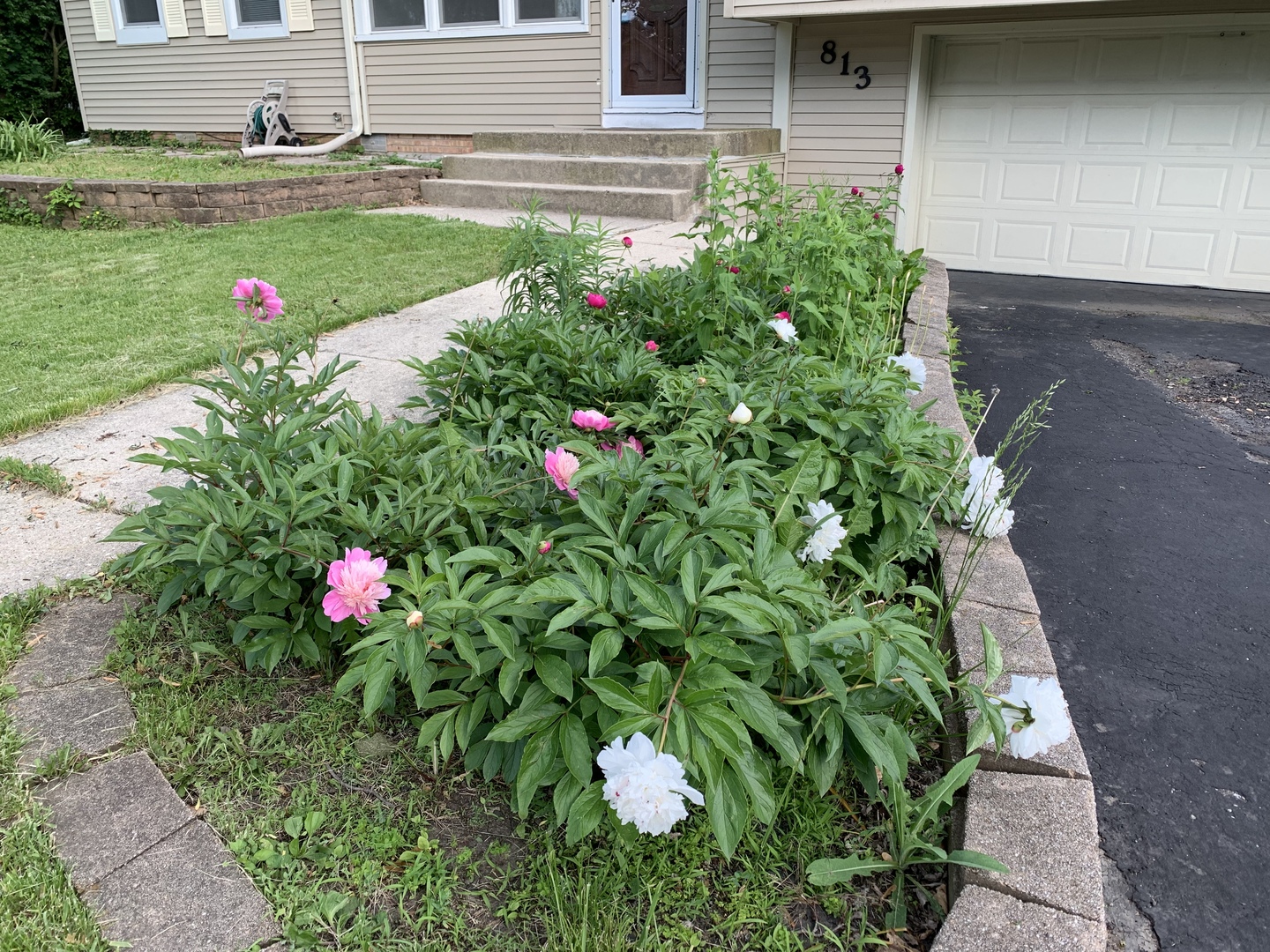 813 Sunset Road Wheaton, IL 60189 - Photo 19 of 19