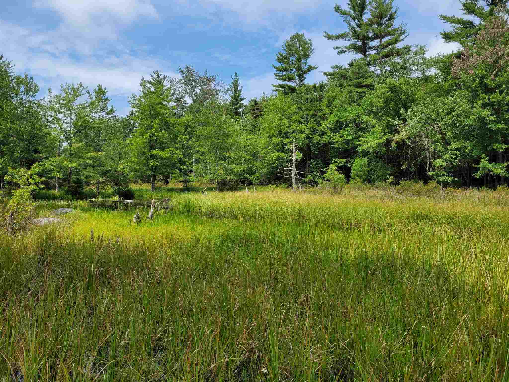 0 Tamarack Way Rindge, NH 03461 - Photo 7 of 14