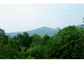 1229 Notchbrook Road, Unit 34AB Stowe, VT 05672 - Photo 1 of 10 Gallery Image 1