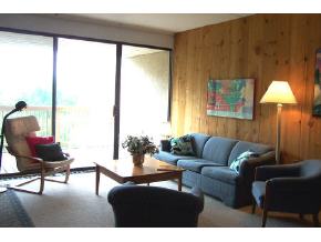 1229 Notchbrook Road, Unit 34AB Stowe, VT 05672 - Photo 2 of 10 Gallery Image 2