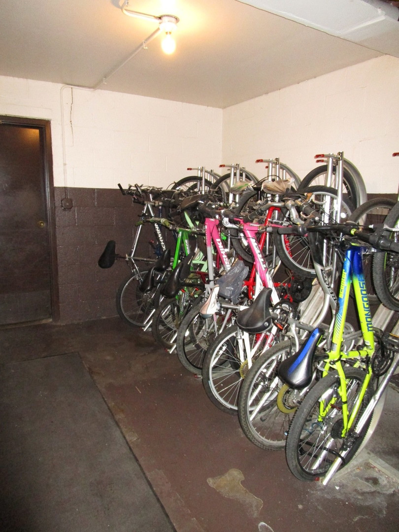 1301 South Finley Road, Unit 417 Lombard, IL 60148 - Photo 26 of 28