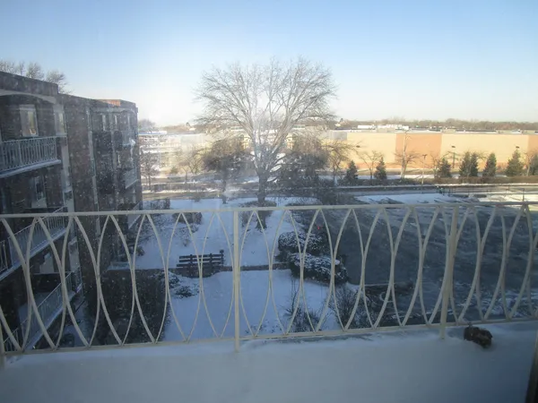 a view of roof deck with wooden fence and city view