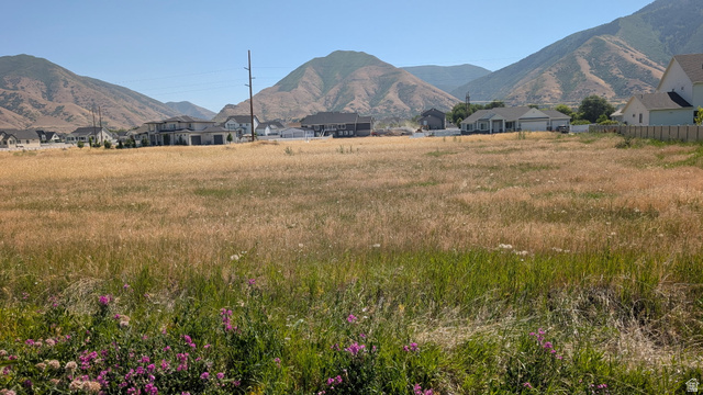 209 North 800 West Mapleton, UT 84664 - Photo 4 of 12