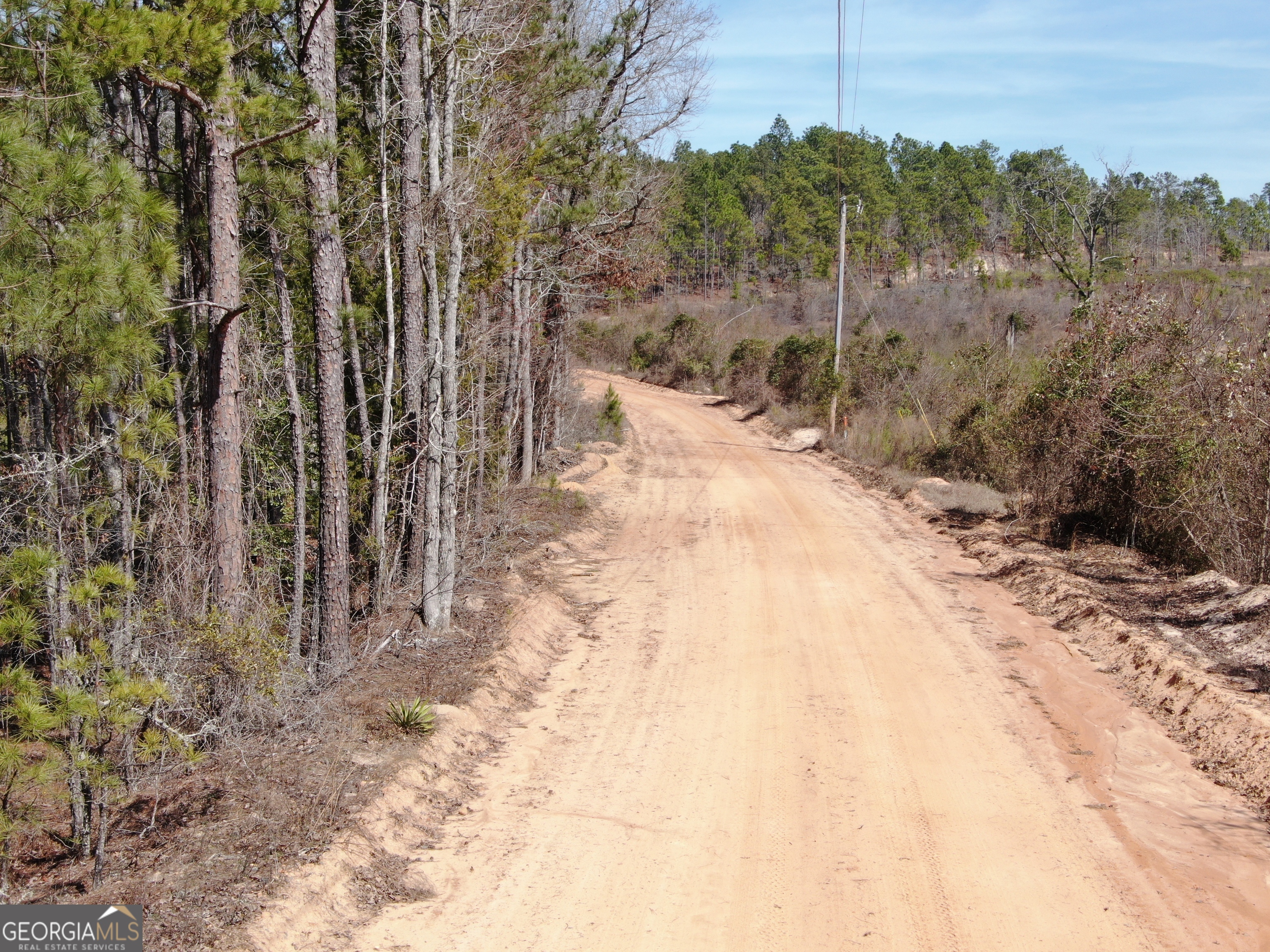 0 Suddeth Road Butler, GA 31006 - Photo 11 of 13