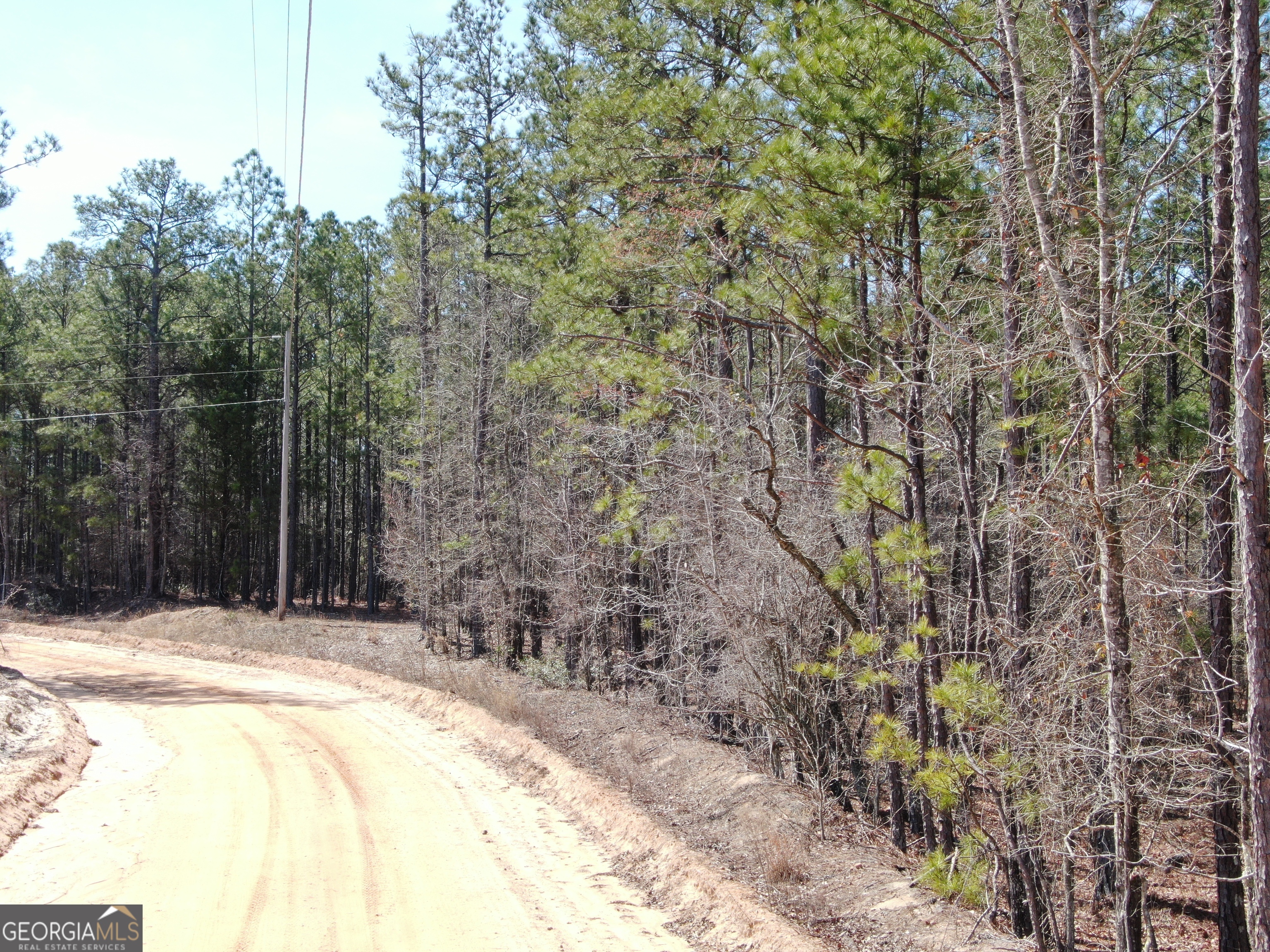0 Suddeth Road Butler, GA 31006 - Photo 12 of 13