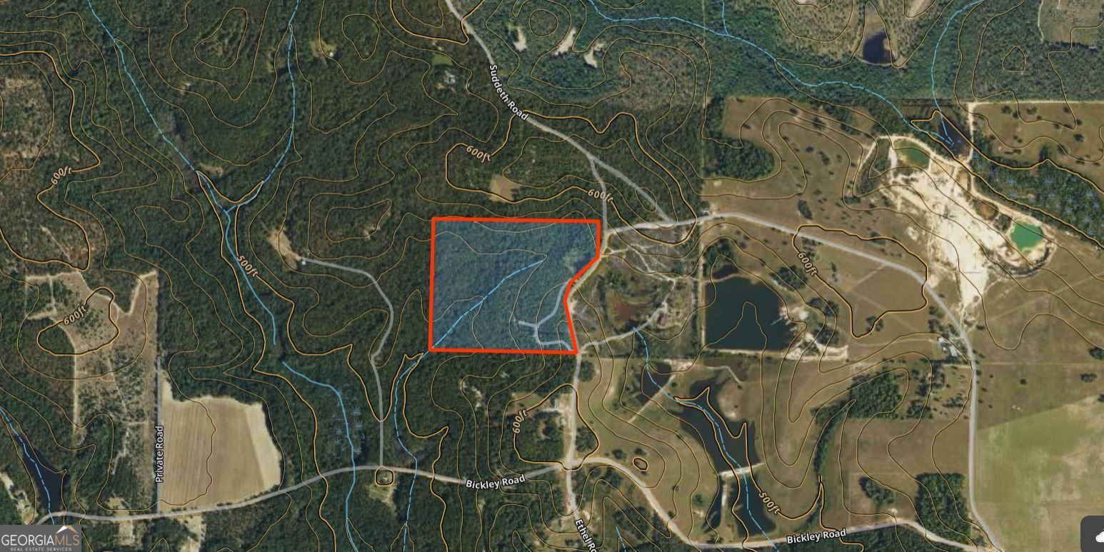 0 Suddeth Road Butler, GA 31006 - Photo 13 of 13