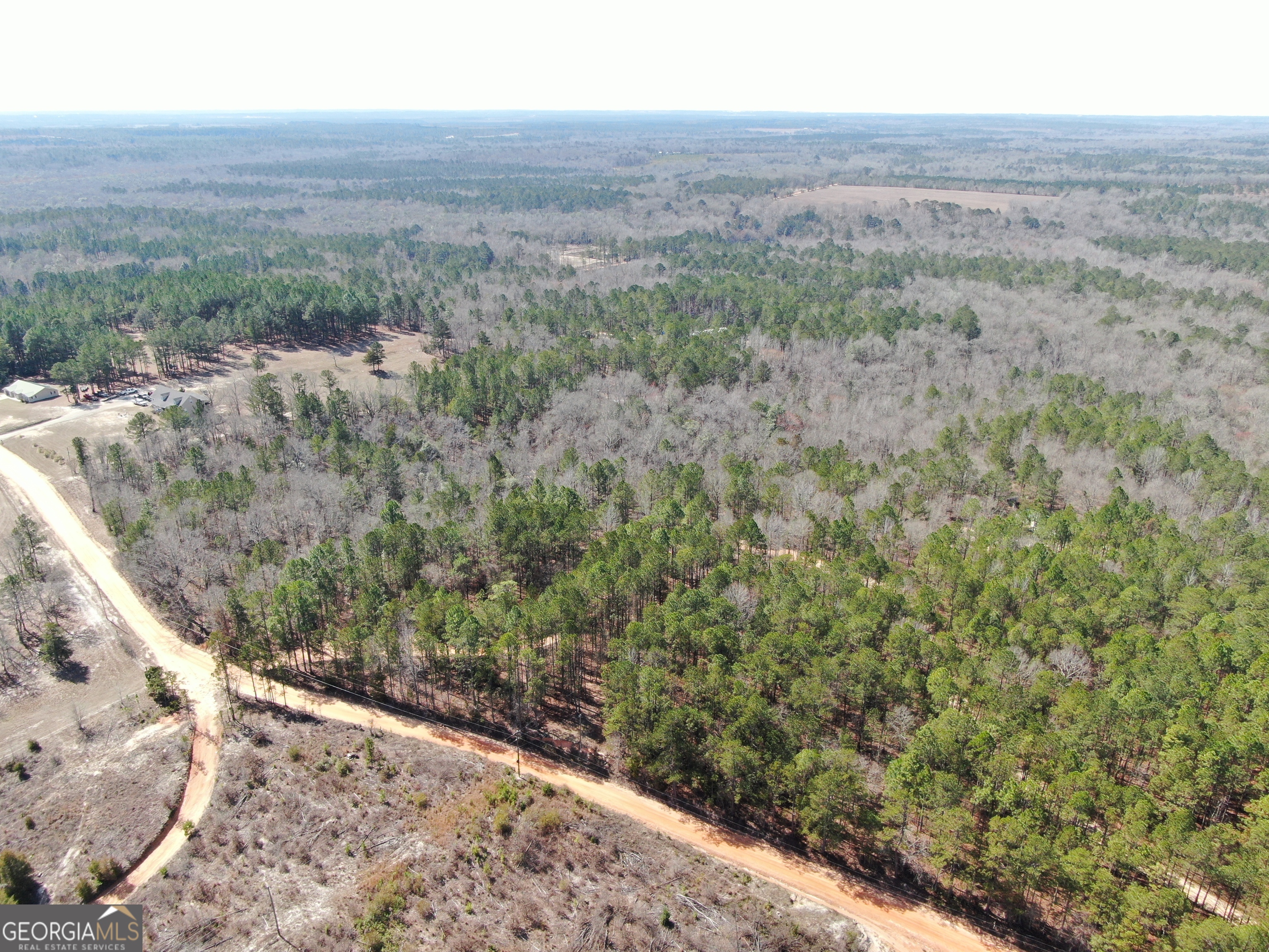 0 Suddeth Road Butler, GA 31006 - Photo 3 of 13