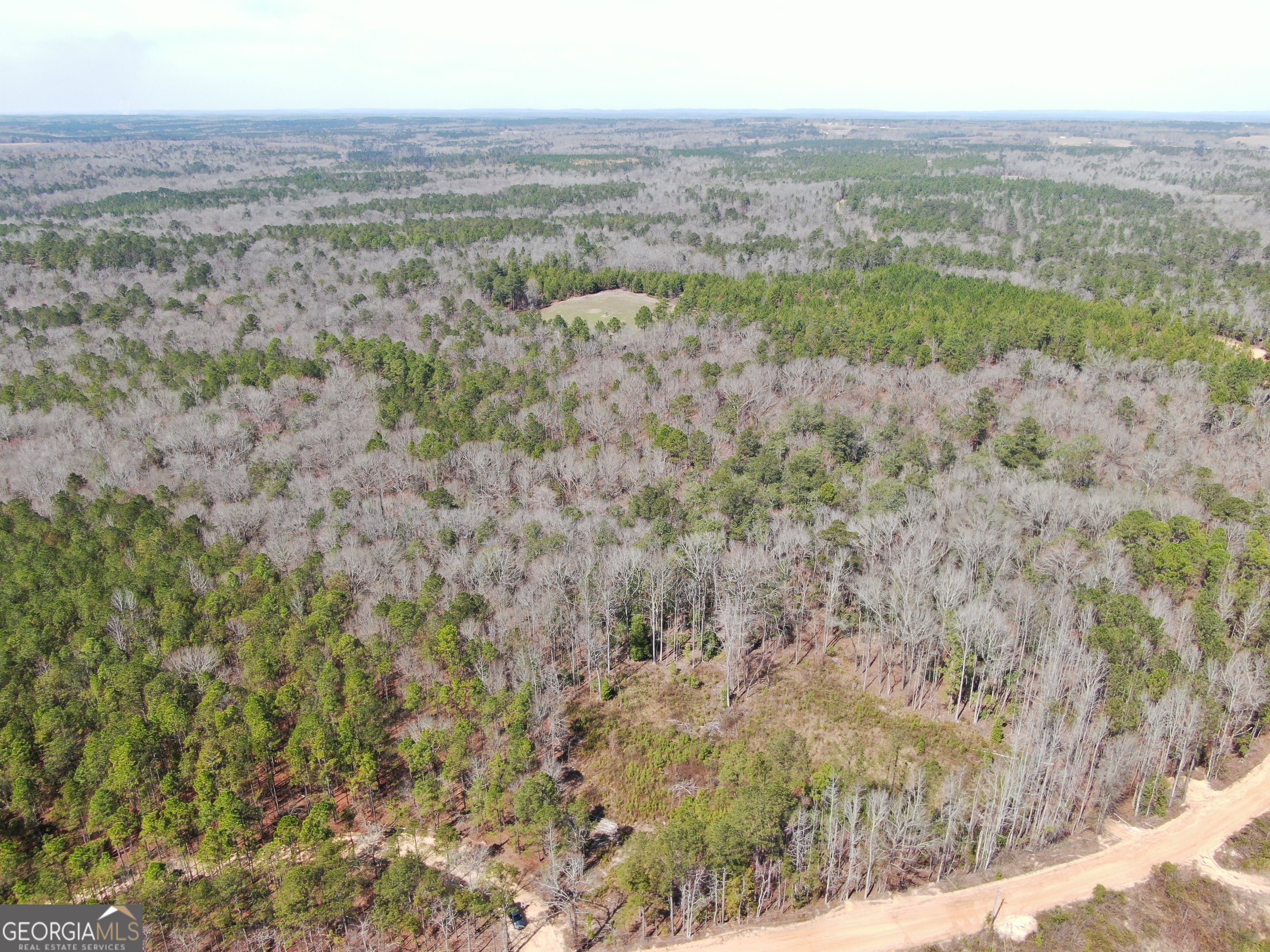 0 Suddeth Road Butler, GA 31006 - Photo 4 of 13