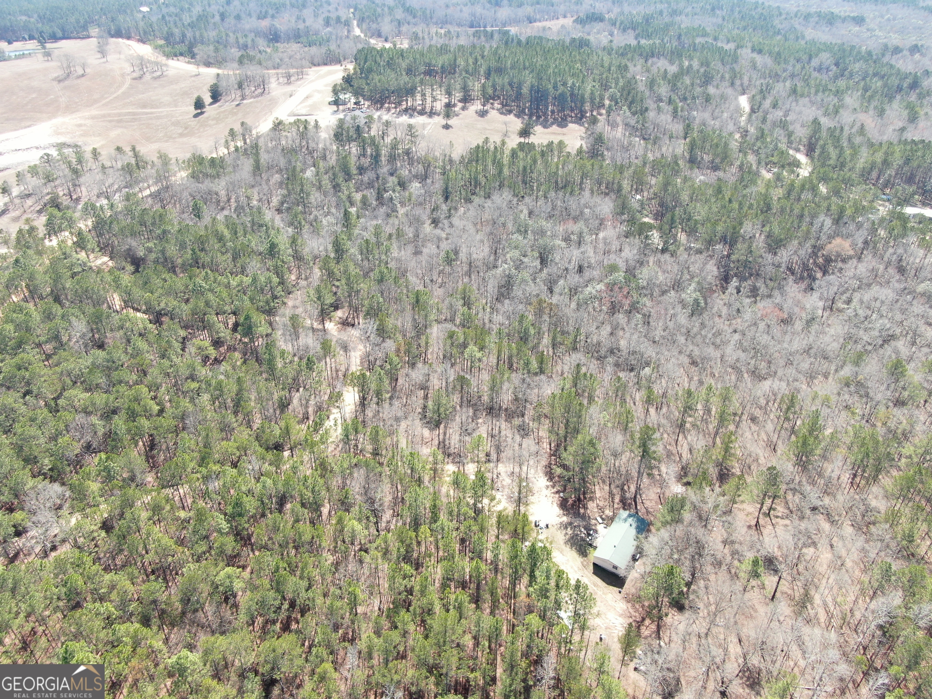 0 Suddeth Road Butler, GA 31006 - Photo 5 of 13