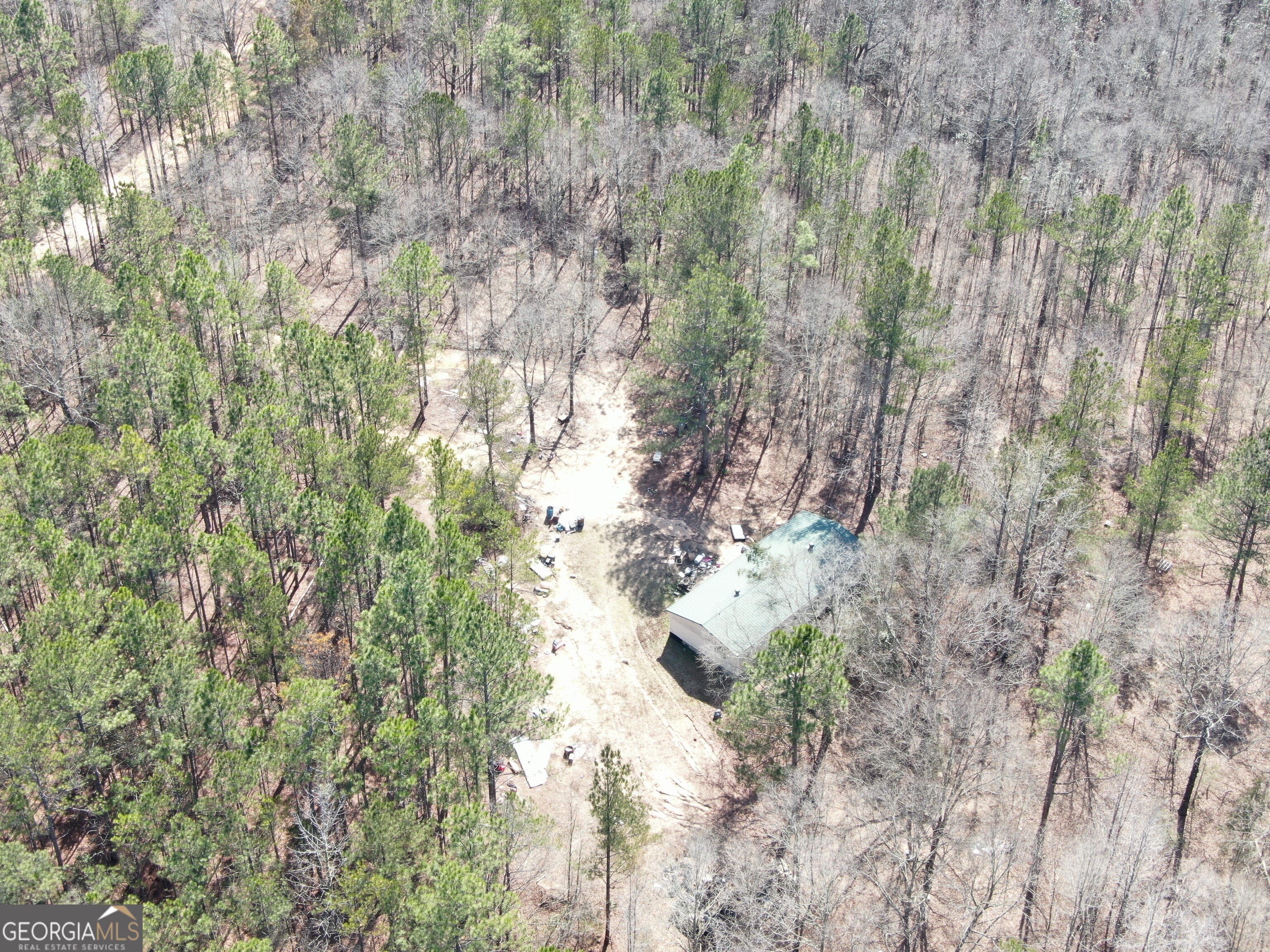 0 Suddeth Road Butler, GA 31006 - Photo 10 of 13