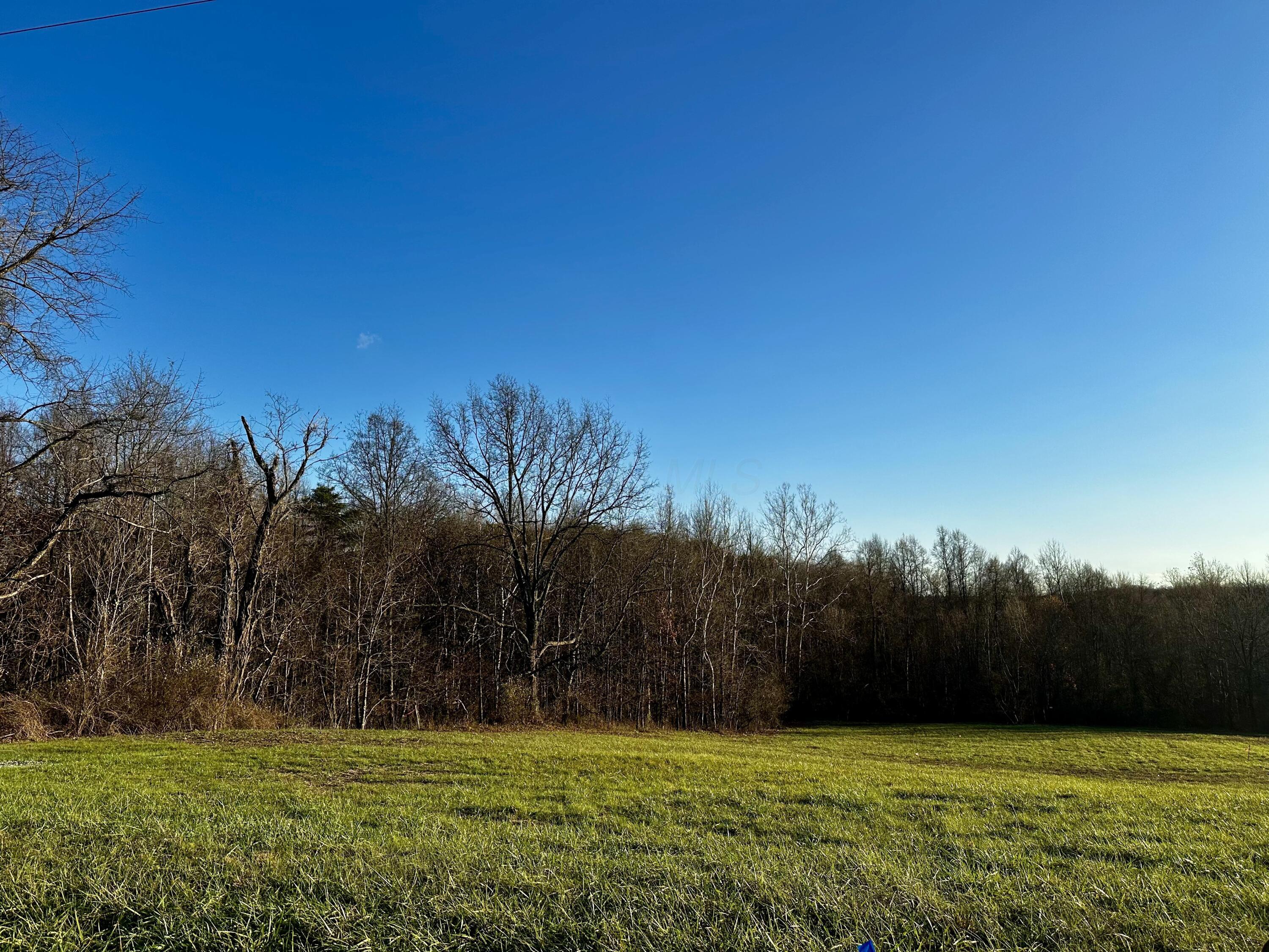 7342 Dutch Ridge Road, Unit TRACT 1 AT DUTCH RIDGE) New Straitsville, OH 43766 - Photo 2 of 45 2