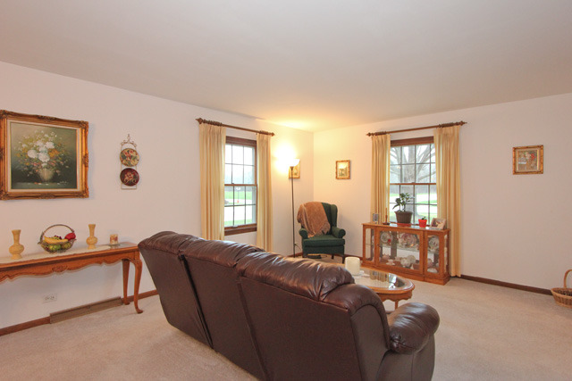 841 Ruth Drive Elgin, IL 60123 - Photo 4 of 25