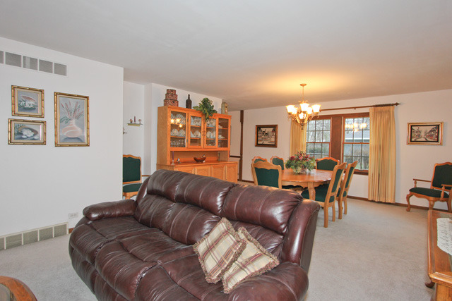 841 Ruth Drive Elgin, IL 60123 - Photo 5 of 25