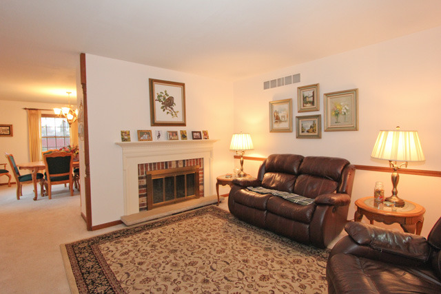 841 Ruth Drive Elgin, IL 60123 - Photo 8 of 25