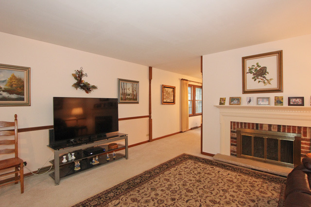 841 Ruth Drive Elgin, IL 60123 - Photo 9 of 25