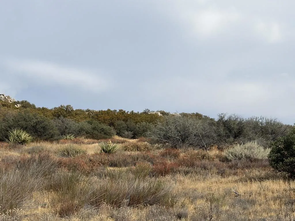 0 Kgkj Ranch Road Anza, CA 92539 - Photo 5 of 11 IMG_1450