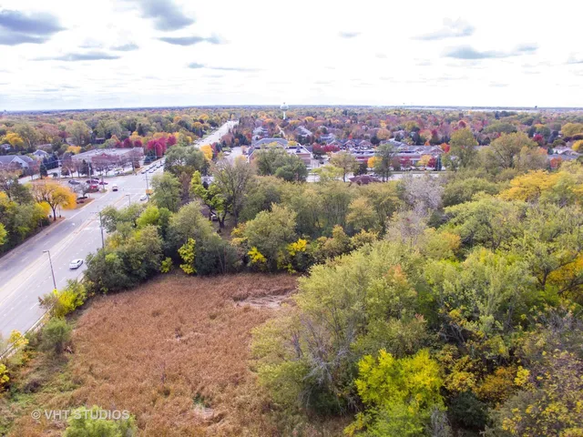 a view of a bunch of flowers