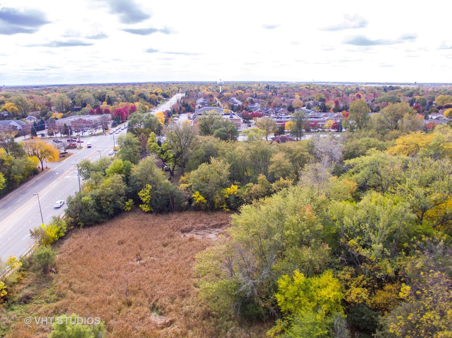 8240 Lemont Road Woodridge, IL 60517 - Photo 3 of 4 a view of a bunch of flowers