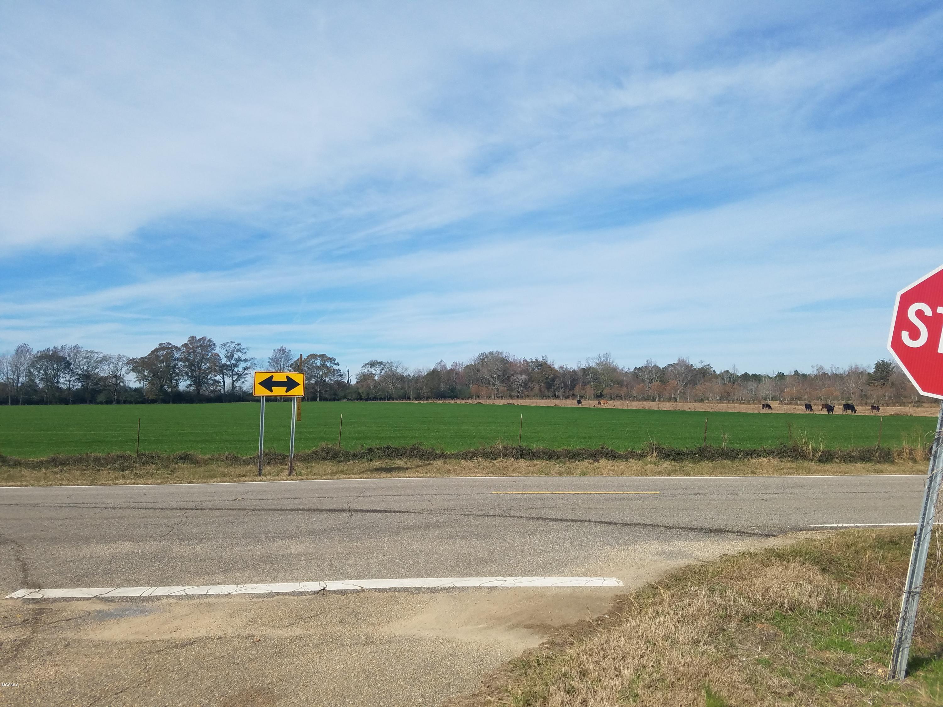 0 City Bridge Road Wiggins, MS 39577 - Photo 2 of 5 Vineyard Lane