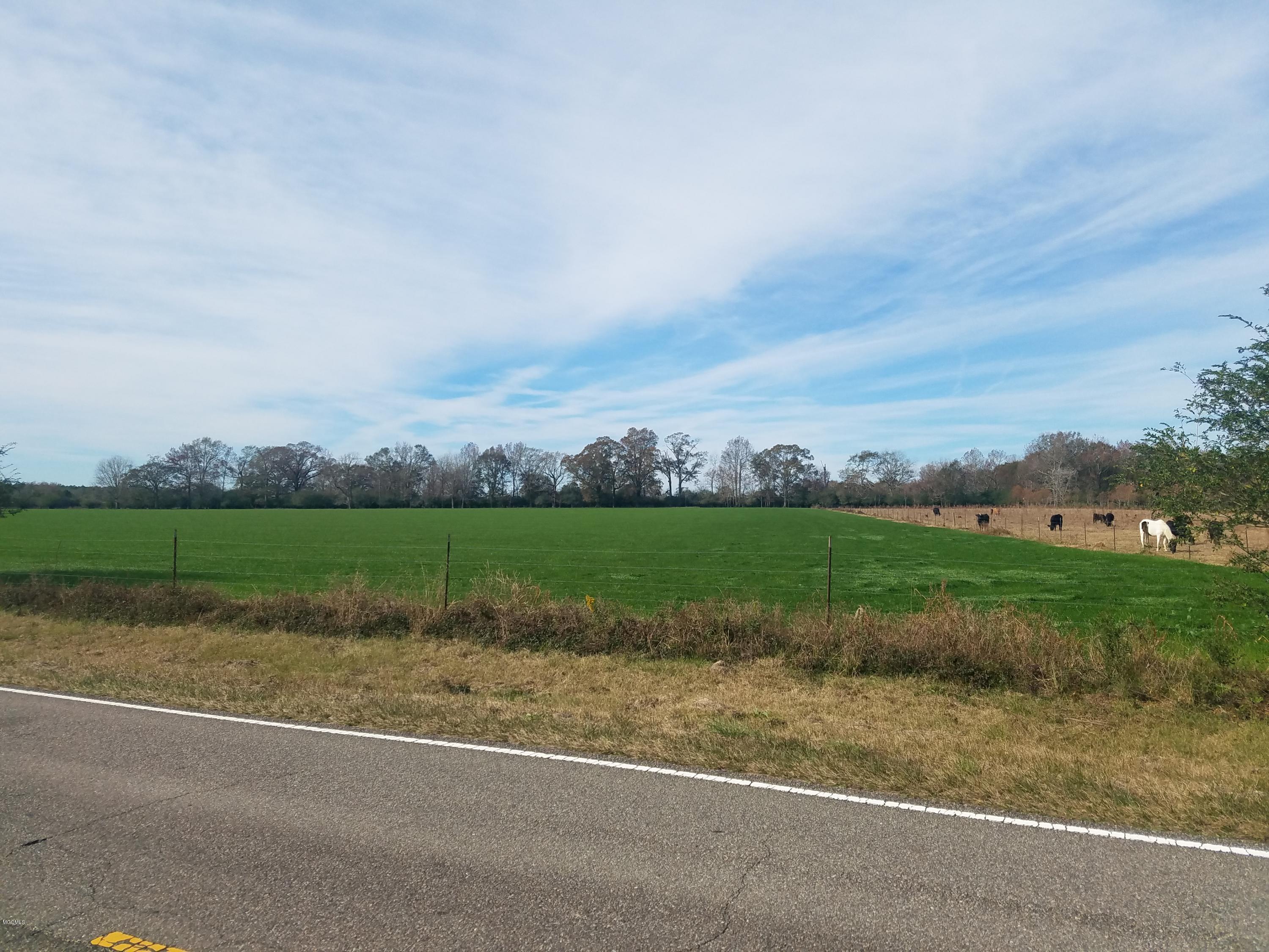 0 City Bridge Road Wiggins, MS 39577 - Photo 3 of 5 North Edge