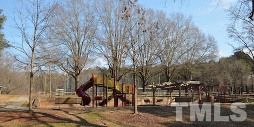 856 Hadley Road Raleigh, NC 27610 - Photo 13 of 13 a view of a yard with a tree