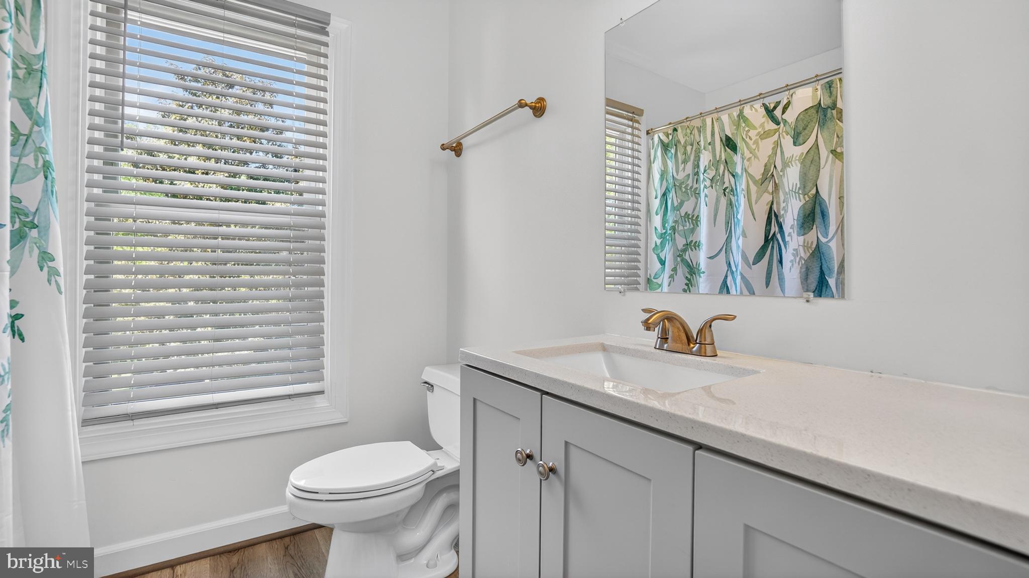 2812 Brite Court Crofton, MD 21114 - Photo 38 of 55 a bathroom with a sink and a toilet