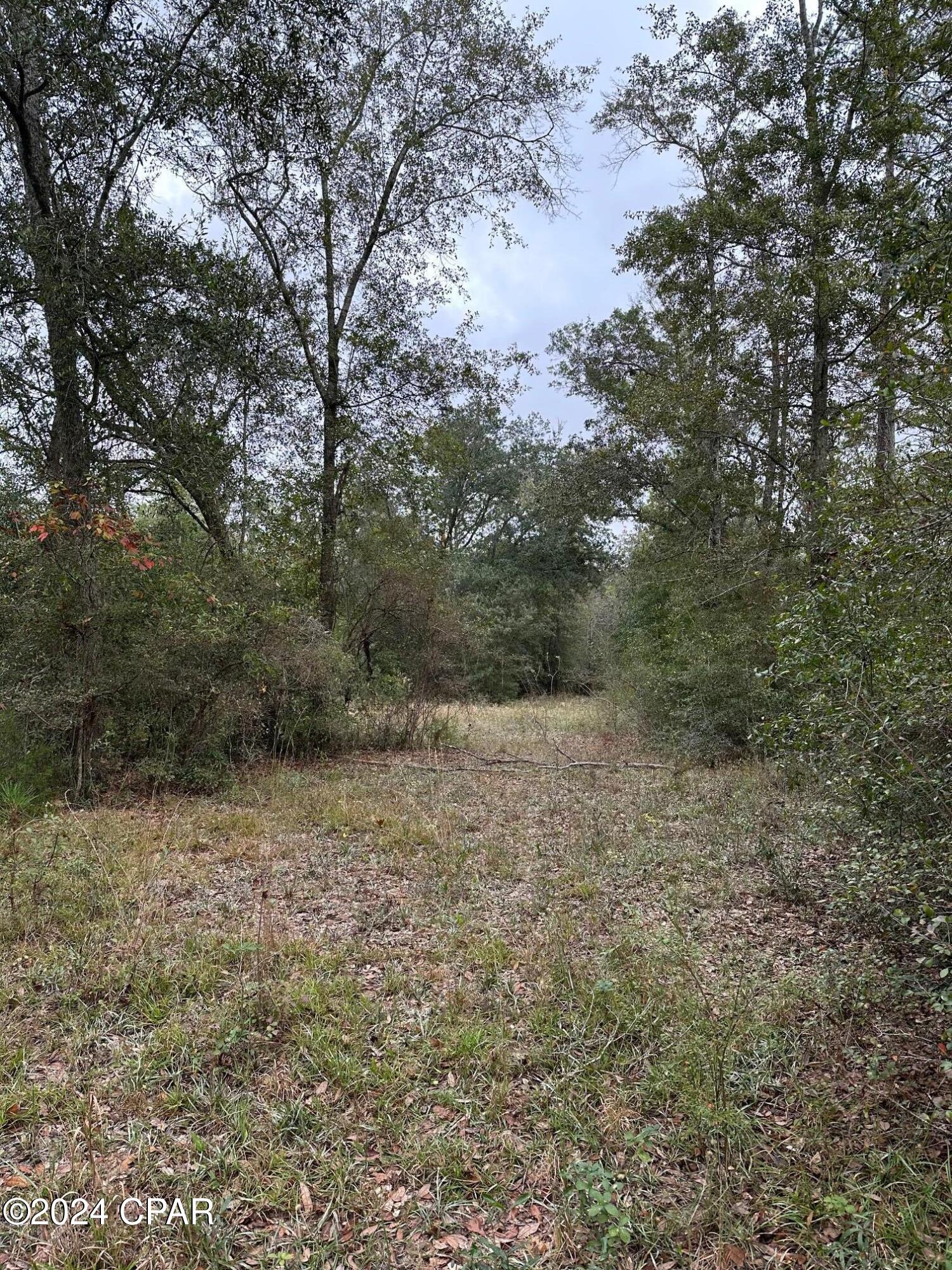 0 Baxter Road Malone, FL 32445 - Photo 1 of 11 Gallery Image 1