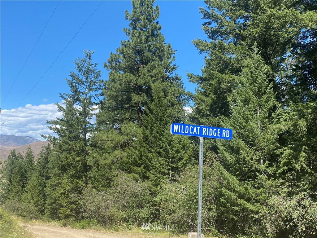 0 Wildcat Ridge Road Twisp, WA 98856 - Photo 22 of 32