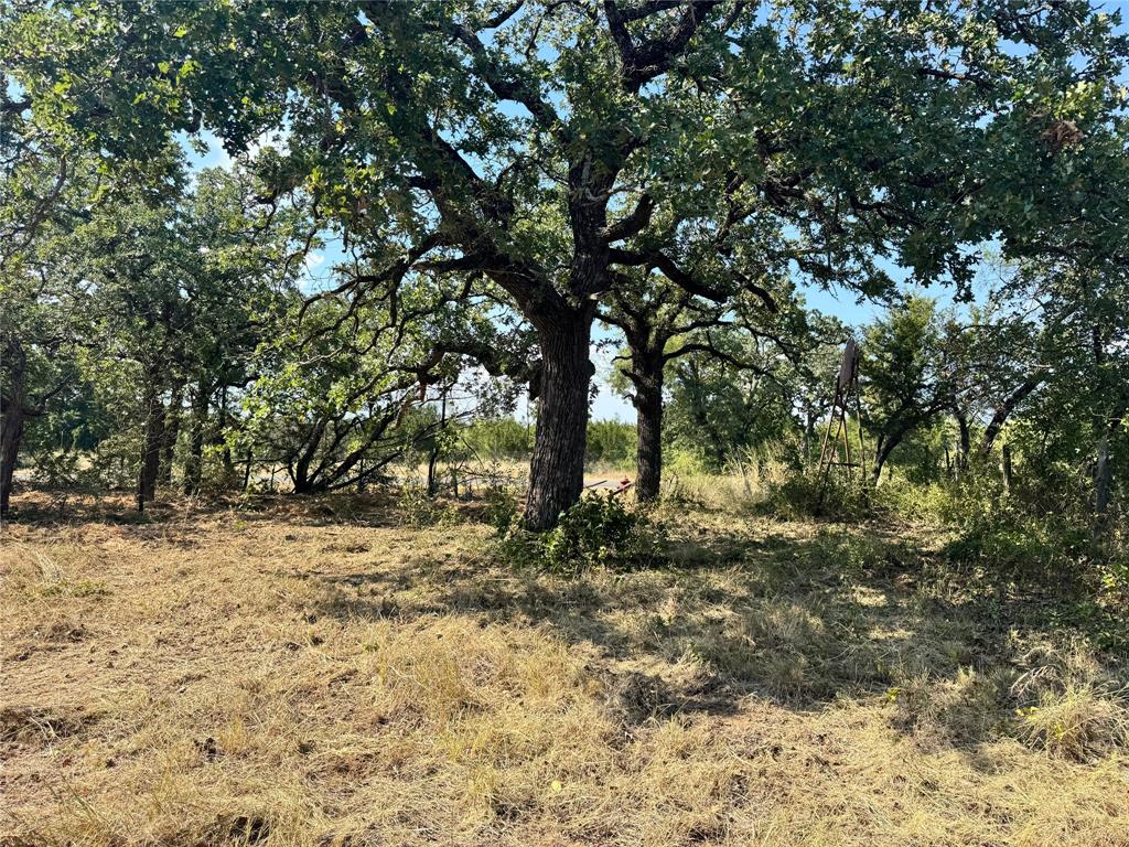 0 Fm 571 Ranger, TX 76470 - Photo 1 of 1 View of local wilderness