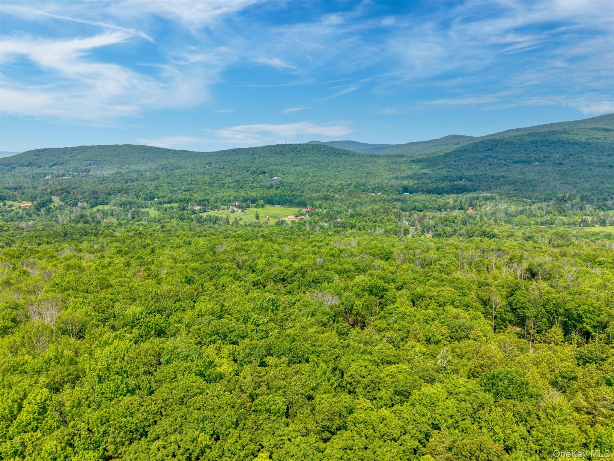 Tbd Boulder Brook Road Windham, NY 12496 - Photo 15 of 46 View of mountain backdrop with a heavily wooded area
