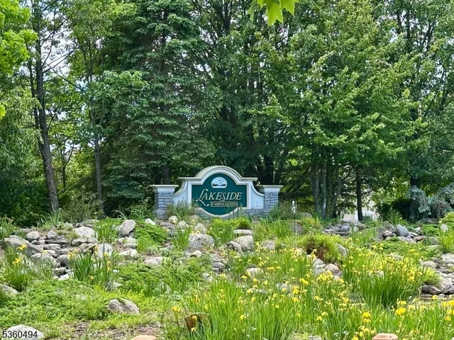 a close up of a tree in a garden