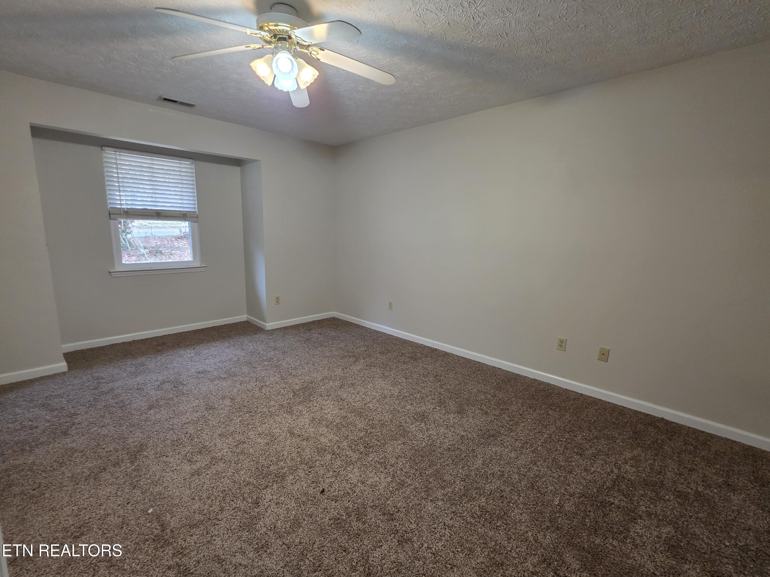 2474 New Lake Road Spring City, TN 37381 - Photo 11 of 15 1000014003